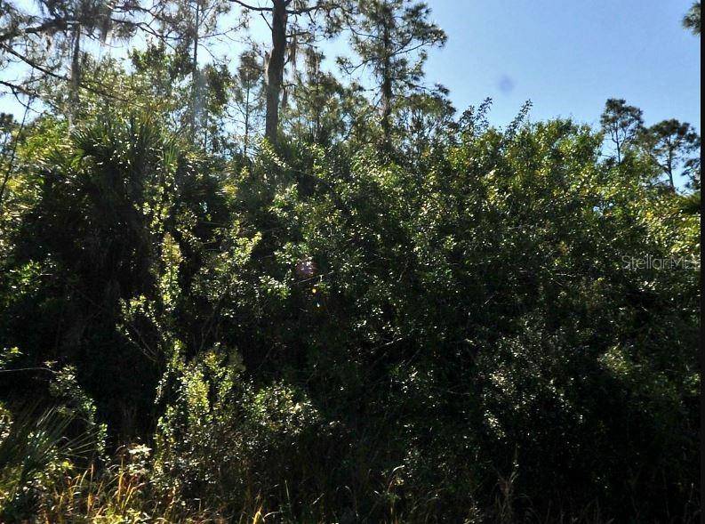 PINKLADY LN, North Port, FL 34288