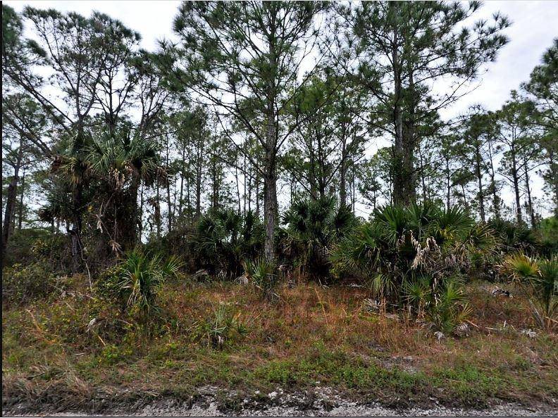 LANGLAIS DR, North Port, FL 34288