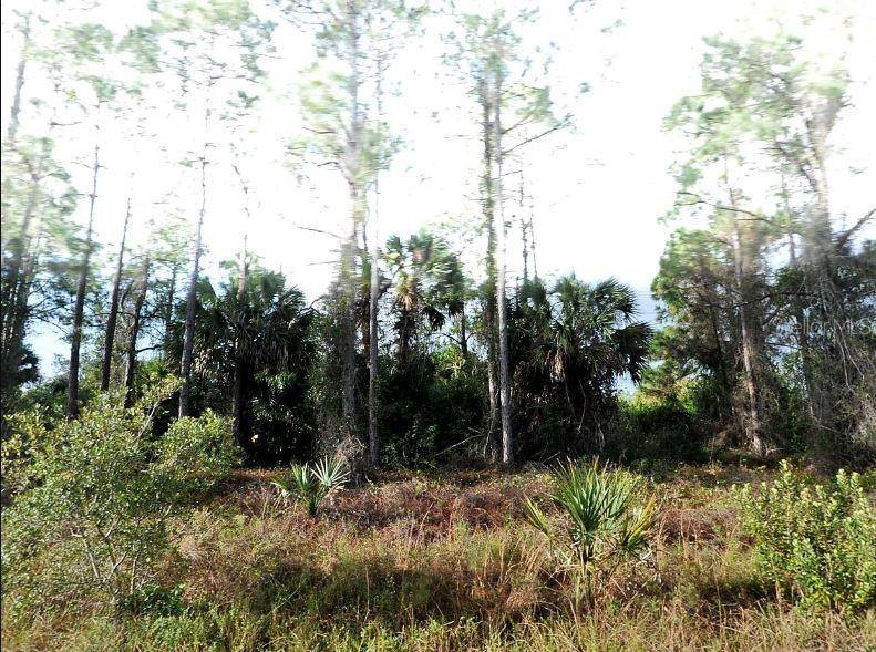 BLUELEAF DR, North Port, FL 34288