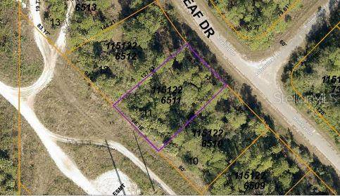 BLUELEAF DR, North Port, FL 34288