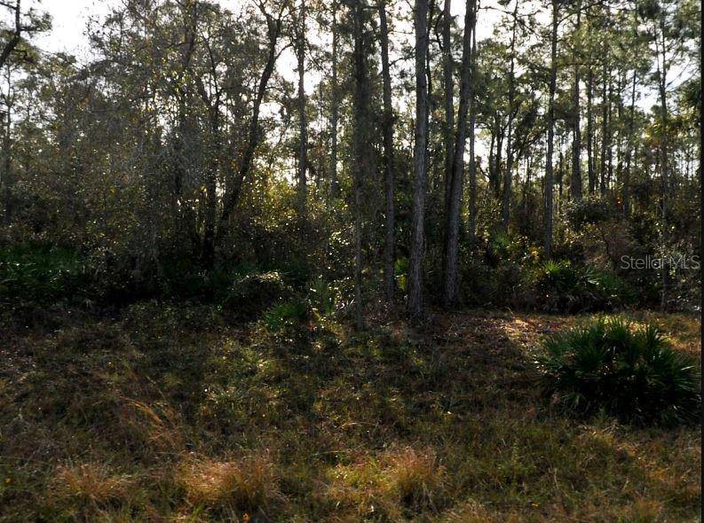 LESTOCK AVE, North Port, FL 34288