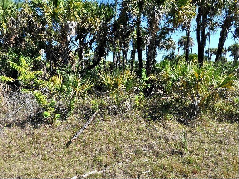 HIAWATHA TER, North Port, FL 34288