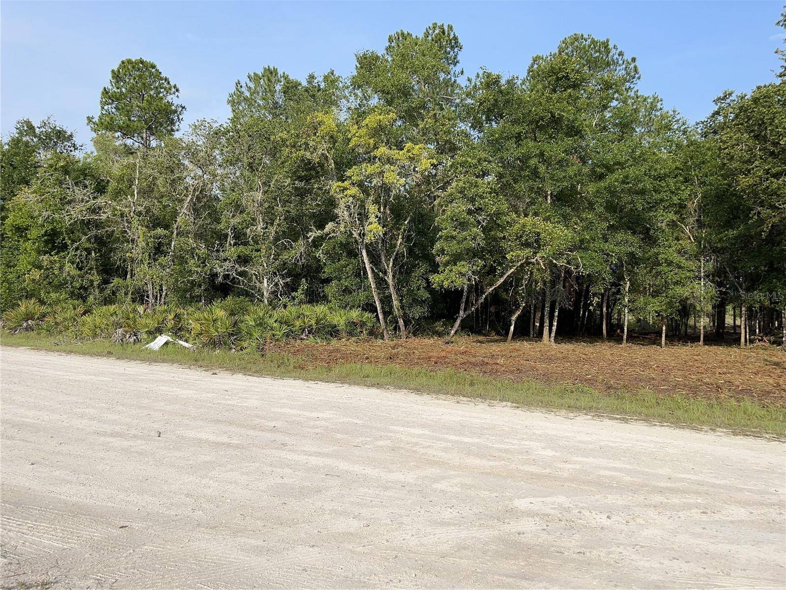7123 GLENCHESTER DR, Webster, FL 33597