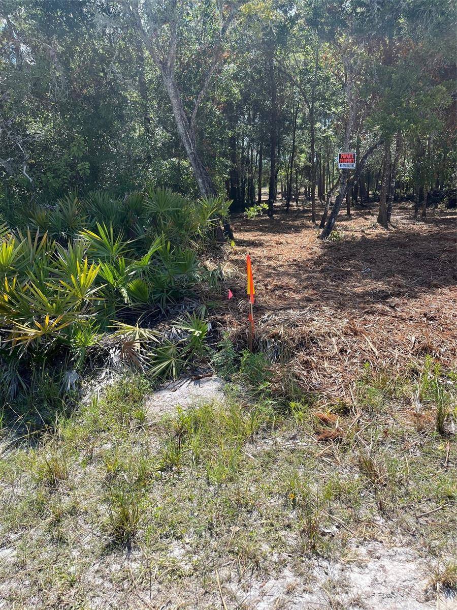 7123 GLENCHESTER DR, Webster, FL 33597