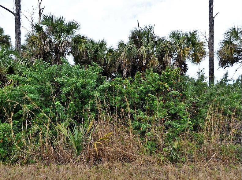 SILVERLEAF RD, North Port, FL 34288