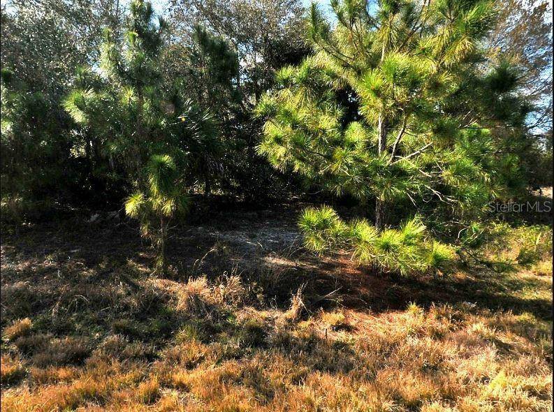 HOPE CT, North Port, FL 34288