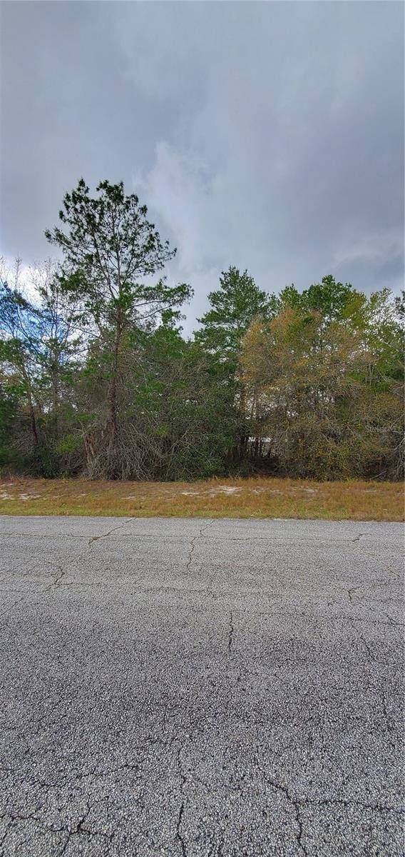 1428 HILLSBOROUGH DR, Poinciana, FL 34759