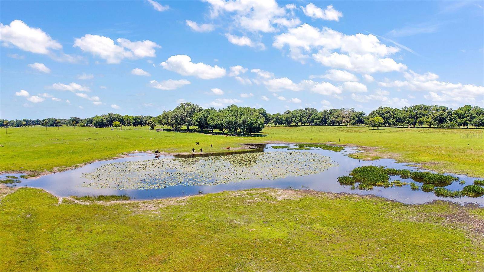E C-478 -UNASSIGNED ADDRESS, Webster, FL 33597