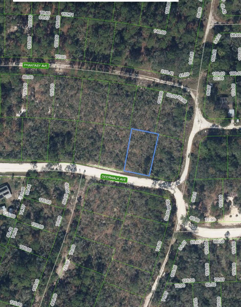 284 DEERWALK AVE, Lake Placid, FL 33852