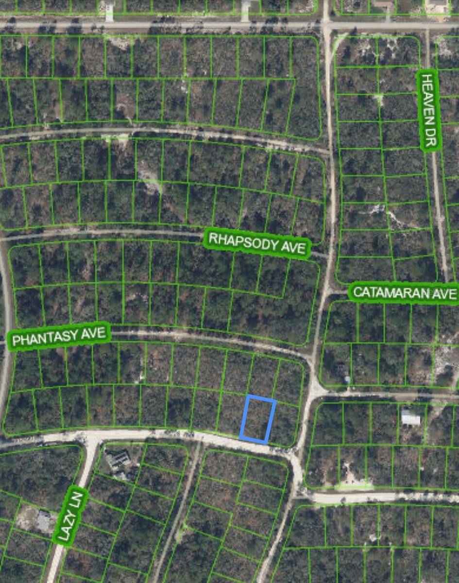 284 DEERWALK AVE, Lake Placid, FL 33852