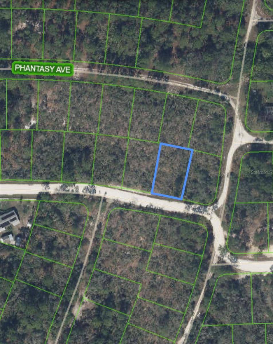 284 DEERWALK AVE, Lake Placid, FL 33852