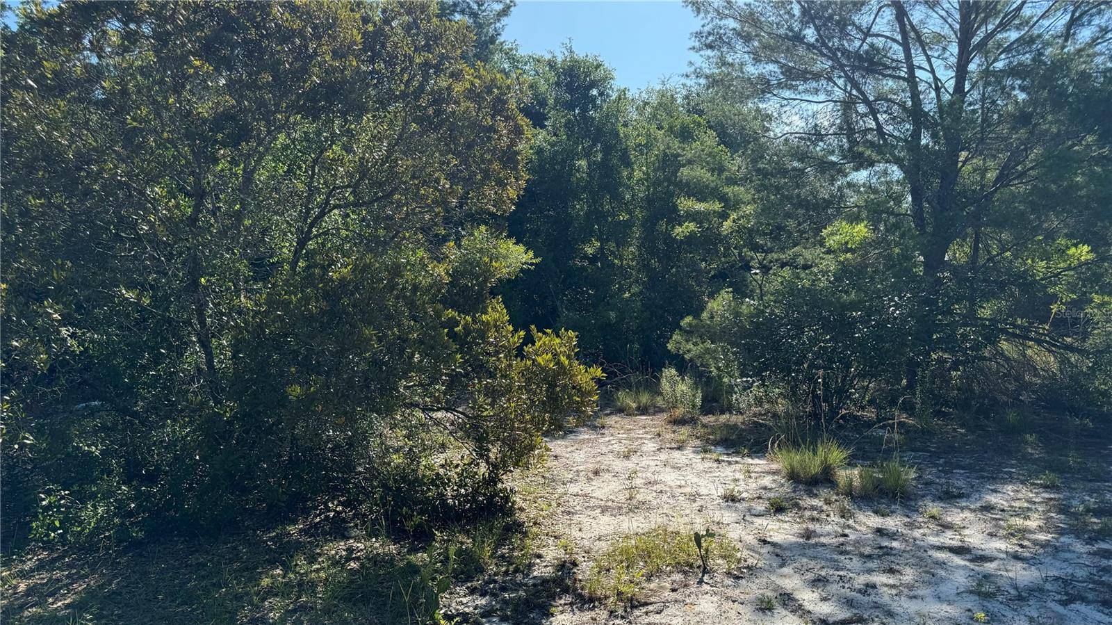 8045 NE 307TH AVE, Fort Mc Coy, FL 32134