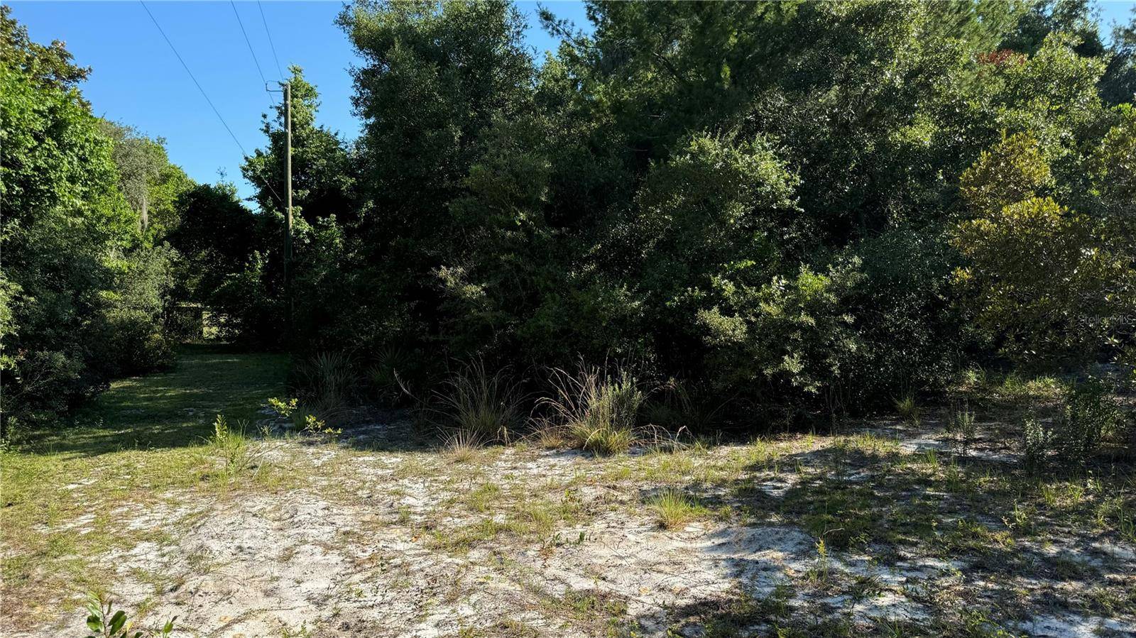 8045 NE 307TH AVE, Fort Mc Coy, FL 32134