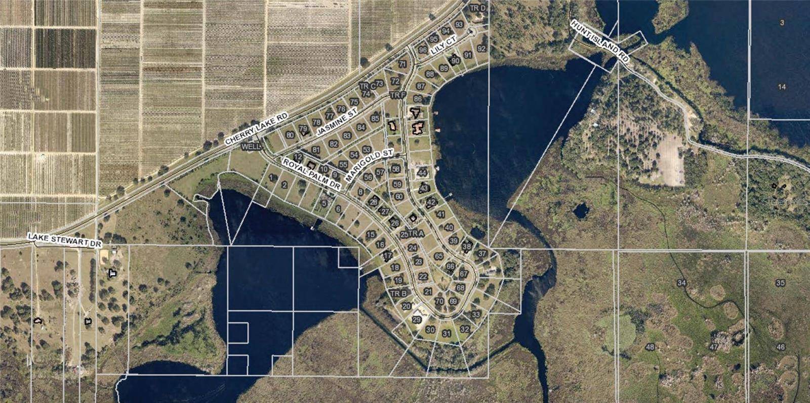 17152 ROYAL PALM DR, Groveland, FL 34736