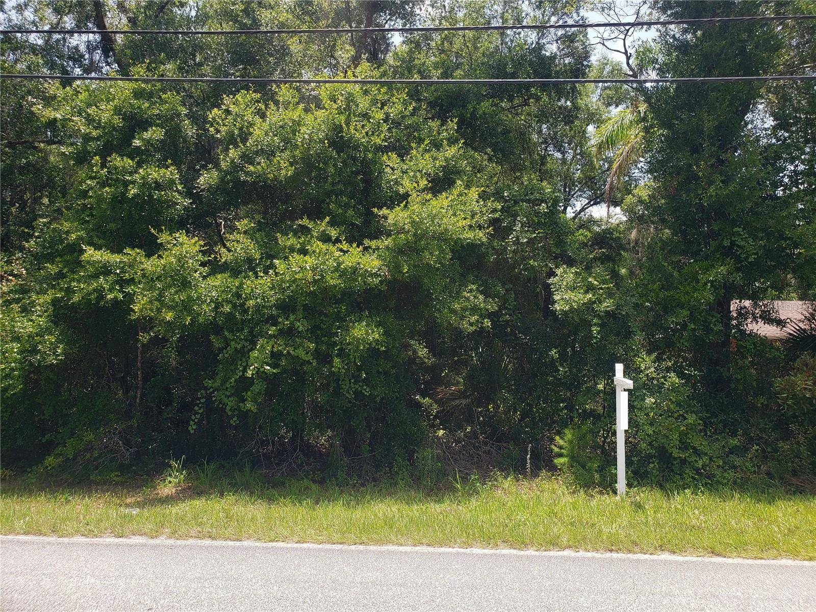 REYNOLDS RD, De Leon Springs, FL 32130