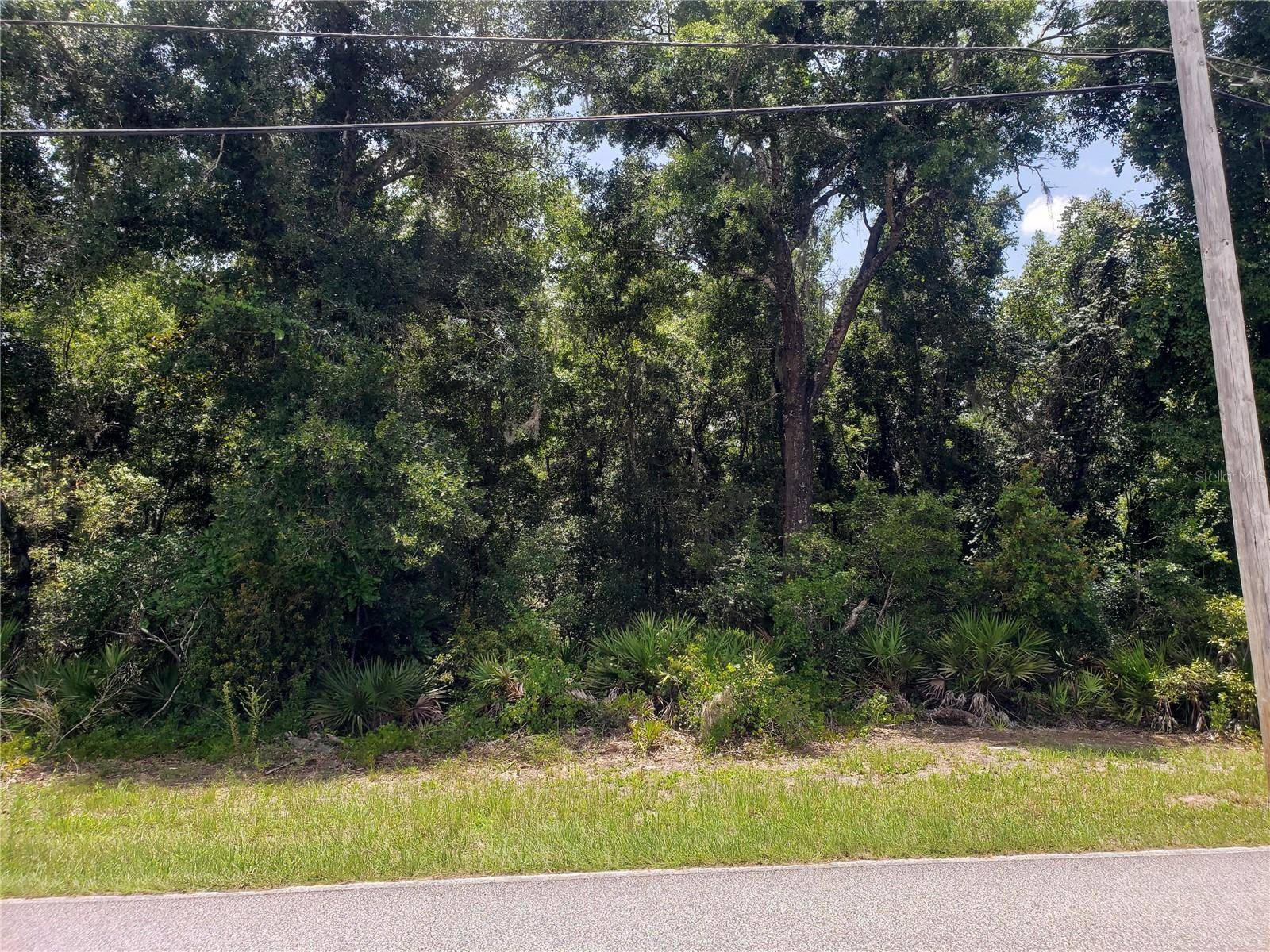 REYNOLDS RD, De Leon Springs, FL 32130