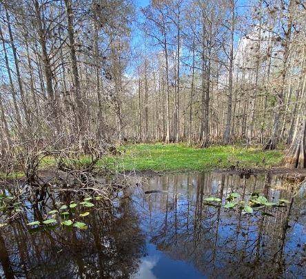 Lake Wales, FL 33898