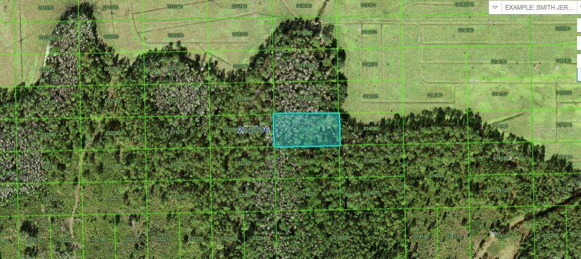 COMMONWEALTH AVE N, Polk City, FL 33868