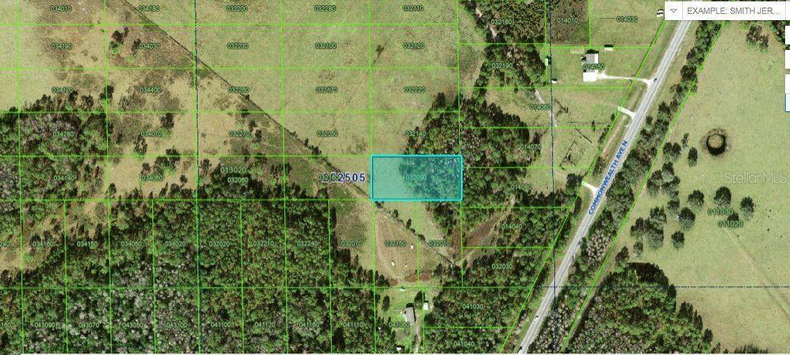 Polk City, FL 33868