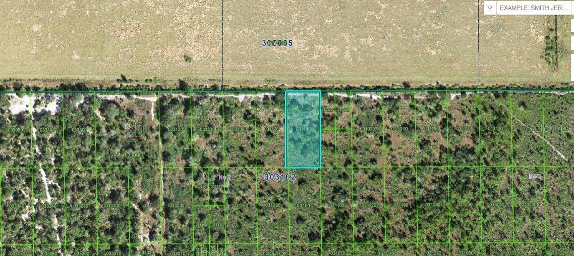 Lake Wales, FL 33898