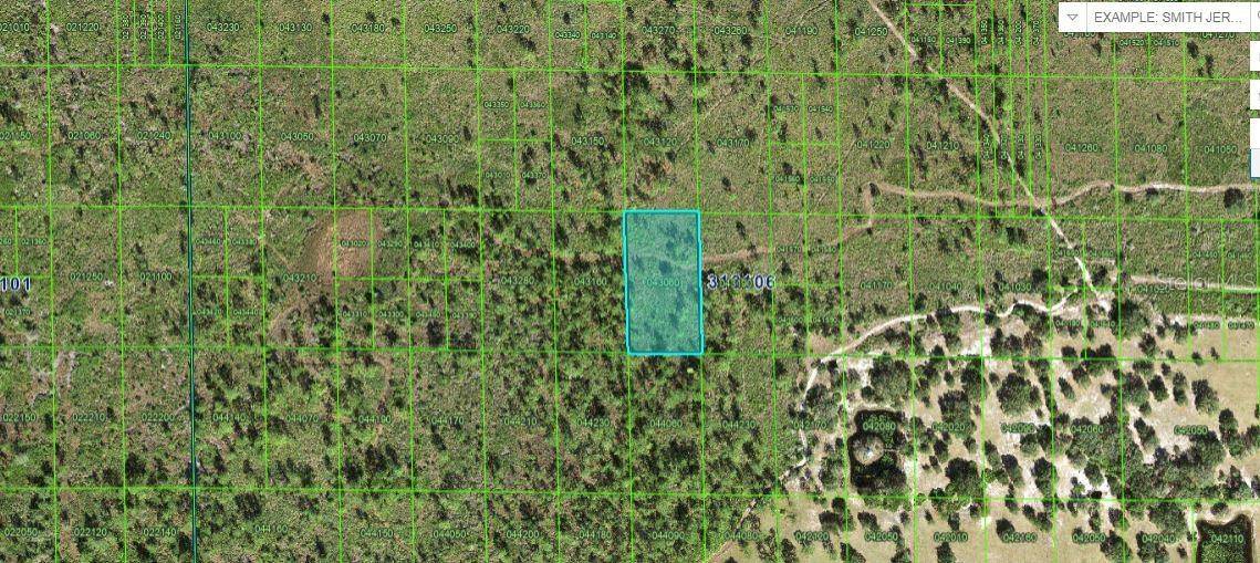 Lake Wales, FL 33898