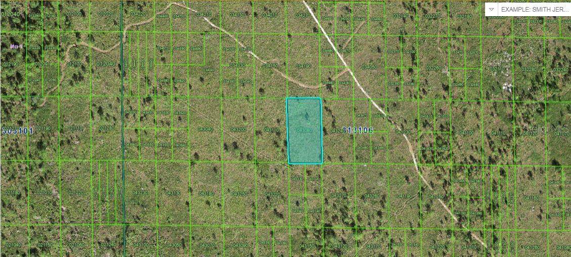 Lake Wales, FL 33898