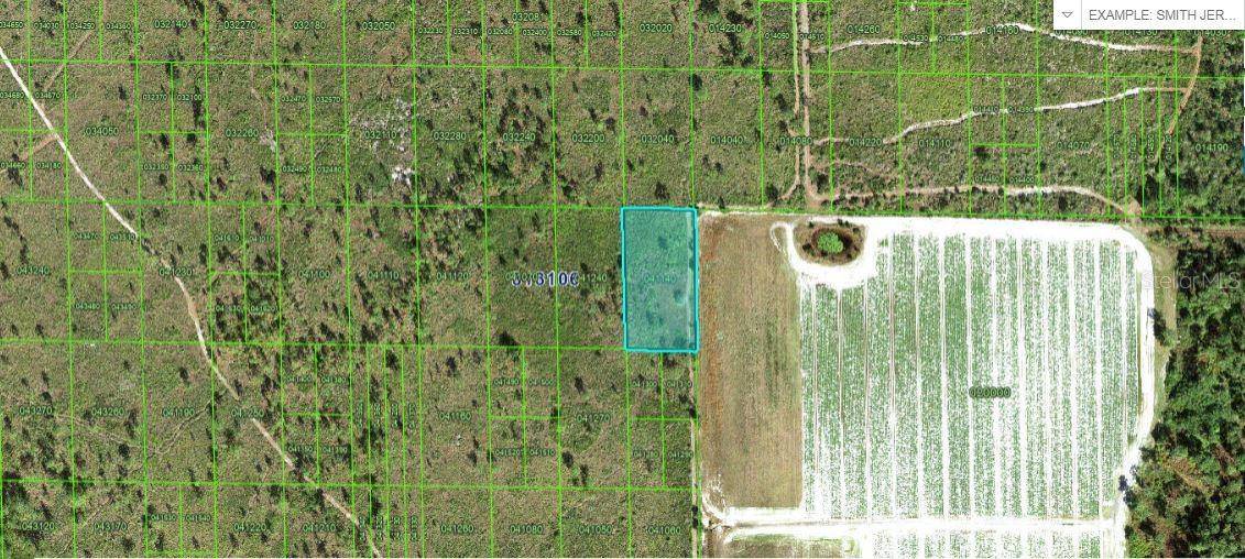 Lake Wales, FL 33898