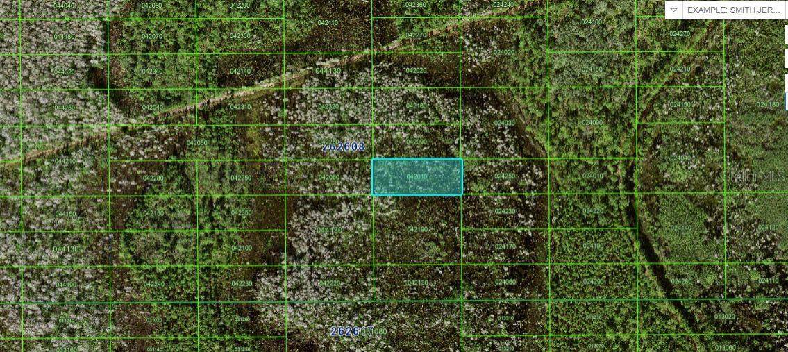 Polk City, FL 33868