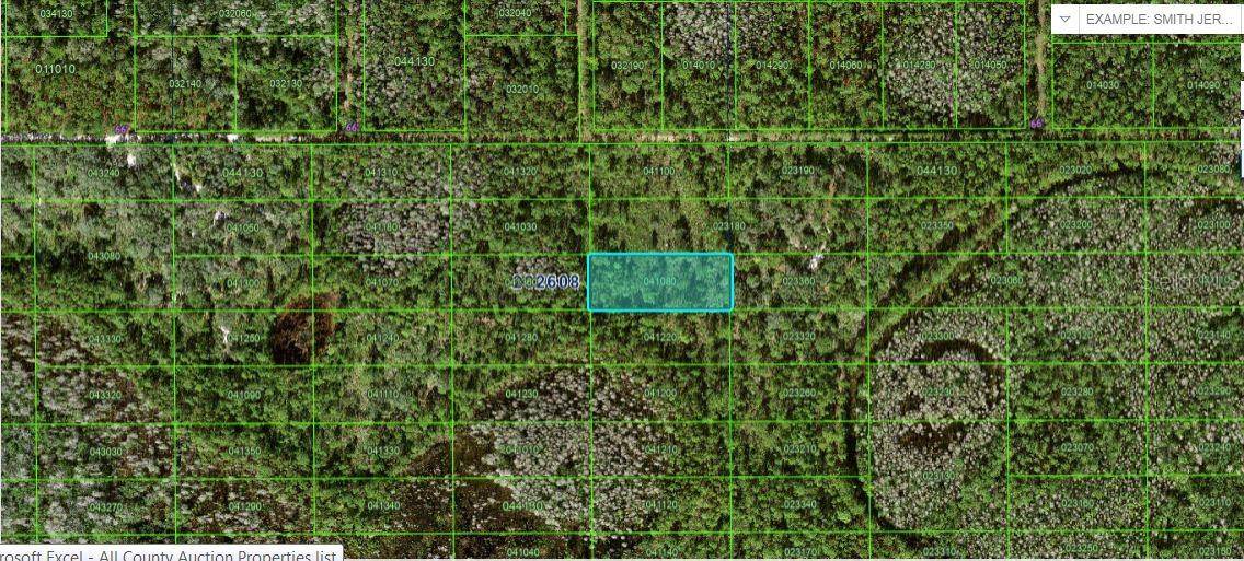 Polk City, FL 33868
