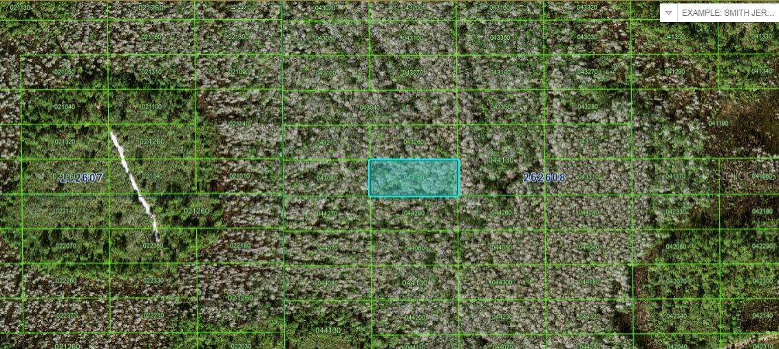 Polk City, FL 33868