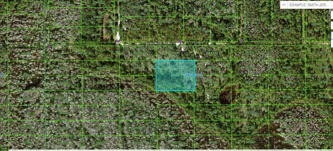 Polk City, FL 33868