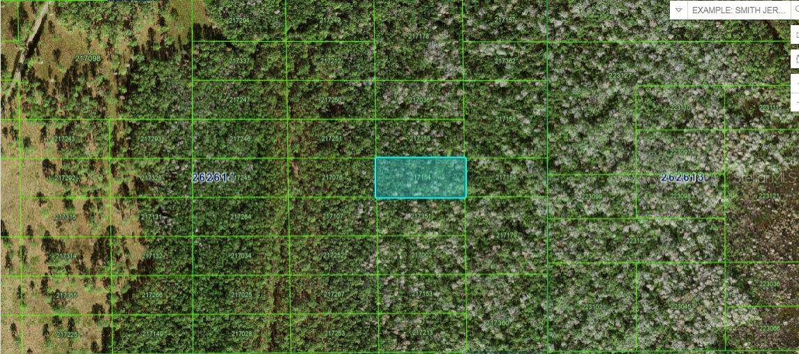 Polk City, FL 33868