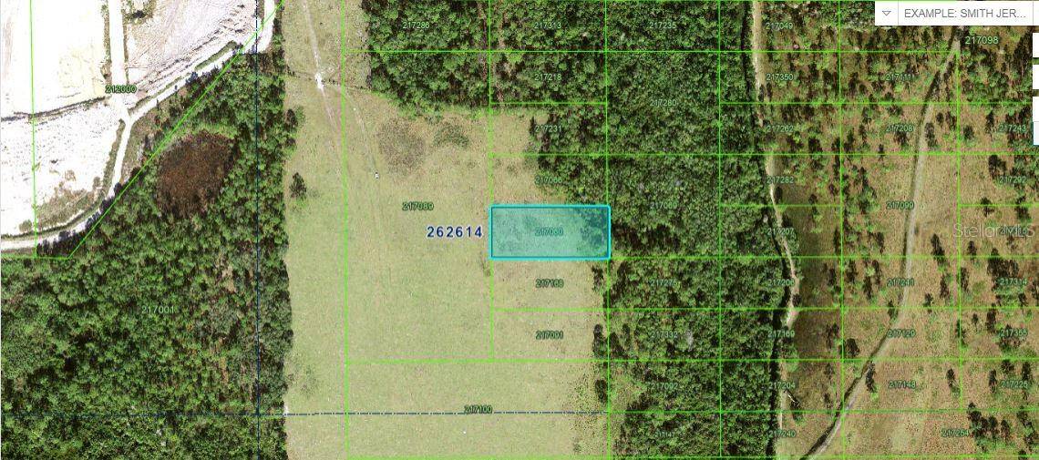Polk City, FL 33868