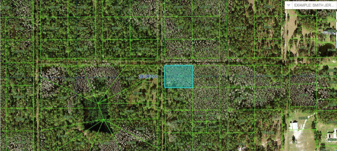 Polk City, FL 33868