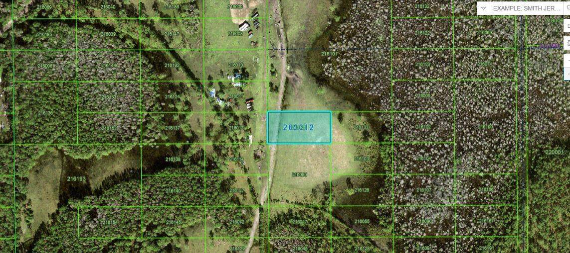 Davenport, FL 33897