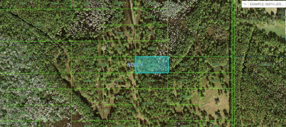 Polk City, FL 33868