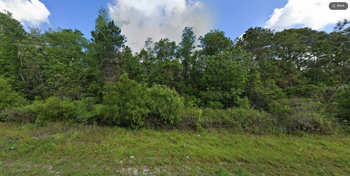 DEEN STILL RD, Polk City, FL 33868