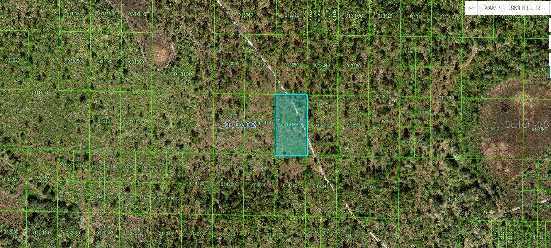 KICCO RD, Frostproof, FL 33843