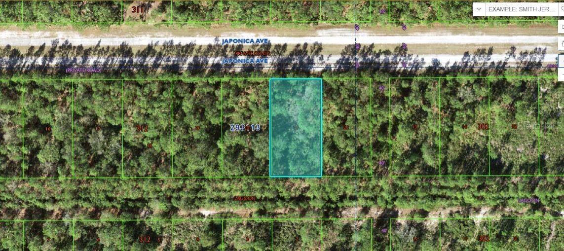 1103 JAPONICA AVE, Indian Lake Estates, FL 33855