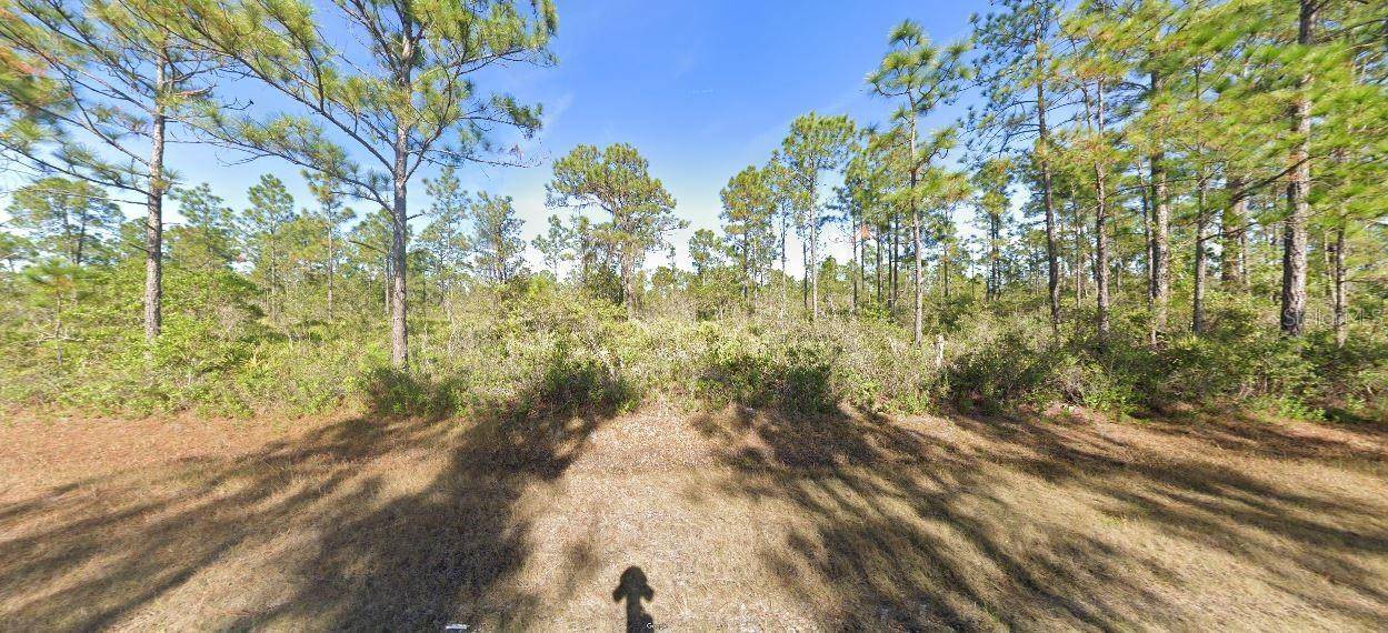 CALLIANDRA DR, Lake Wales, FL 33855