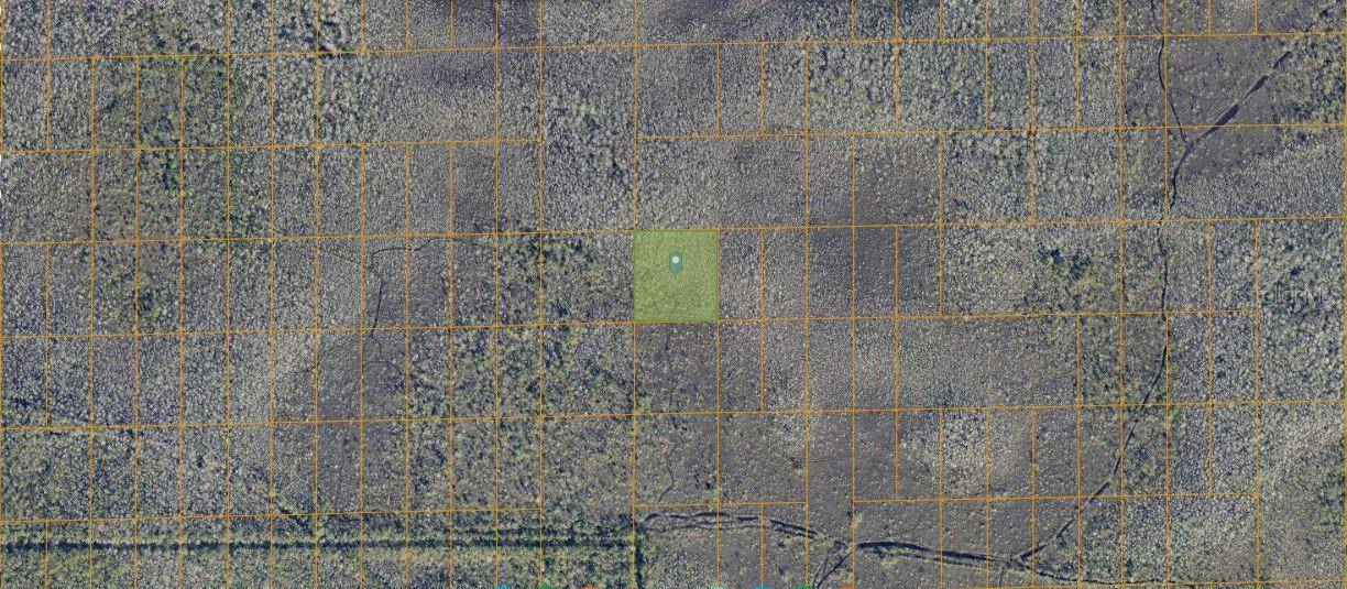 Deland, FL 32724