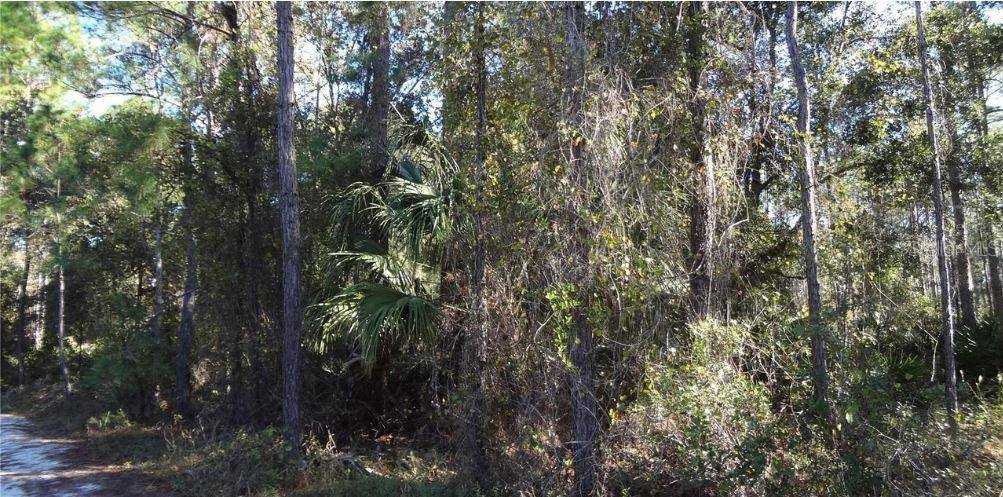 12TH AVE, Deland, FL 32724