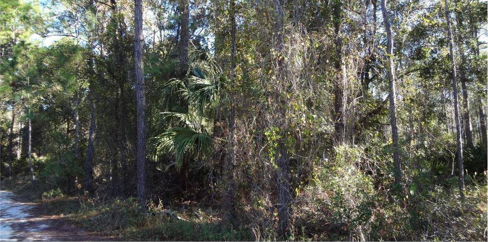 12TH AVE, Deland, FL 32724