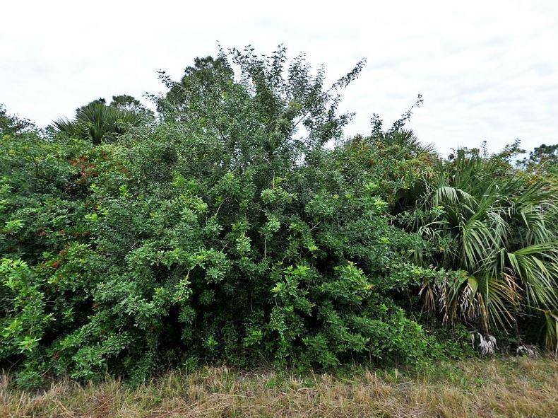 CERIMAN RD, North Port, FL 34288