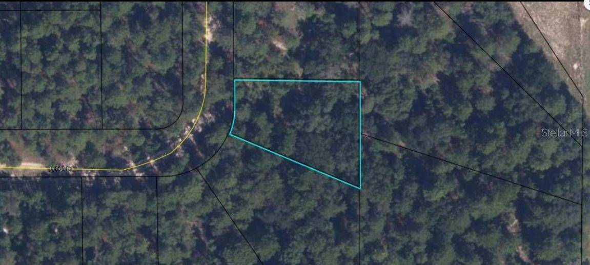 7231 LEHIGH DR, Keystone Heights, FL 32656
