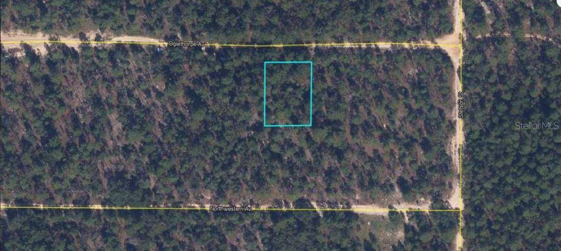 6213 OLGETHORPE AVE, Keystone Heights, FL 32656