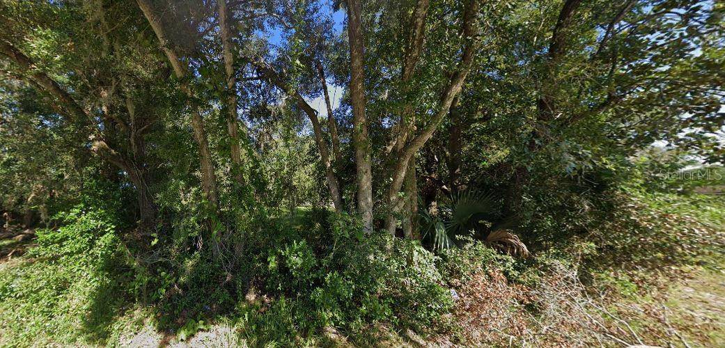 SE HAWTHORNE RD, Hawthorne, FL 32640