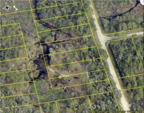 8250 TREIMAN BLVD BLVD, Webster, FL 33597