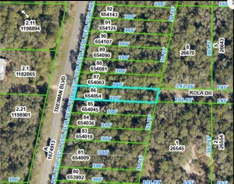 8250 TREIMAN BLVD BLVD, Webster, FL 33597
