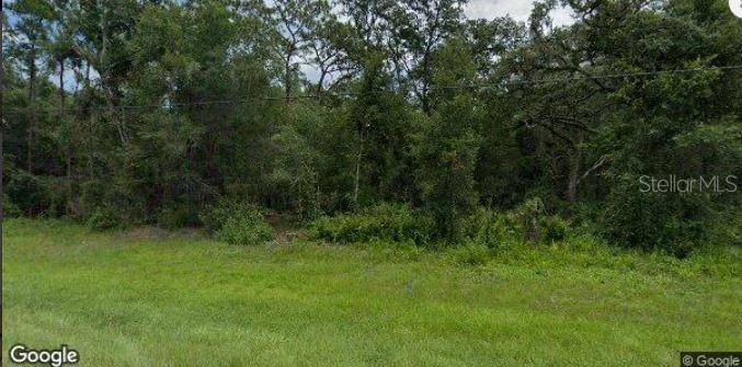 8250 TREIMAN BLVD BLVD, Webster, FL 33597